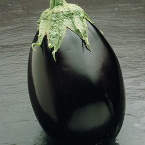 Aubergine-Black-Bell