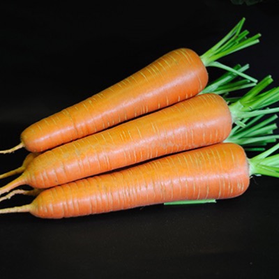 Carrot-SweetCandle