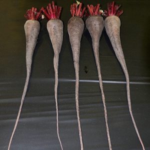 Beetroot Cheltenham Greentop