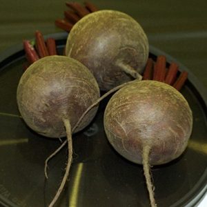 Beetroot PabloF1