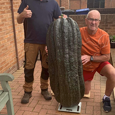 New 2025 Catalogue out soon Giant Marrow